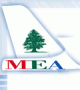 Lebanonâ€™s MEA ranks 18th carrier in world in terms of net profits